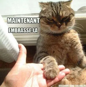 chat.jpg