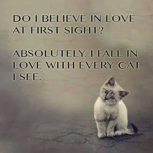FB_IMG_1473846210129.jpg