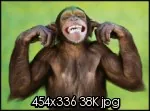 singequiavecsesdoigtsda.th.jpg