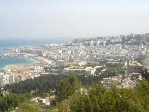 7264576.jpg