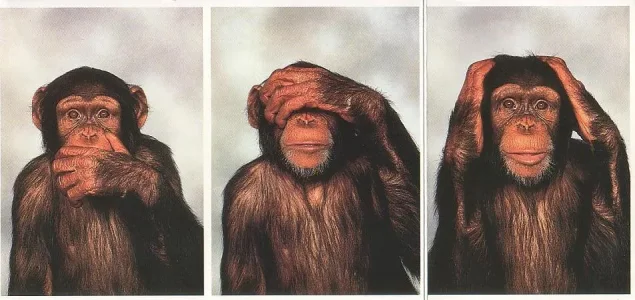 singes-sagesse.jpg