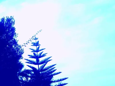 20161028_174112.jpg