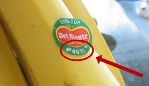 etiquette_fruits_sol.jpg