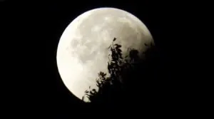 super-lune_14_nov-300x167.jpg