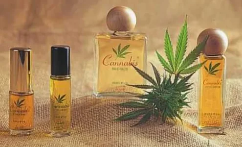 Cannabis-Essential-Oil.jpg