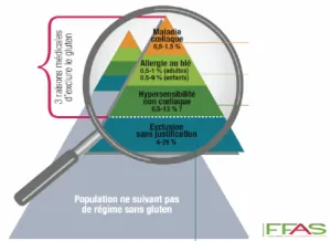 Pyramide gluten.png