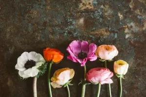 flwrs.jpg