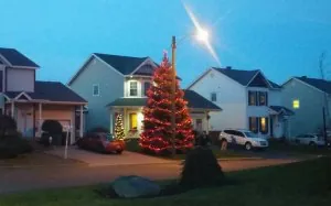 canada.jpg