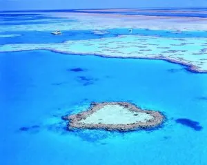 corail.jpg