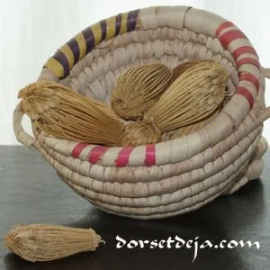 khella-ammi-visnaga.jpg