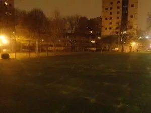 008.JPG