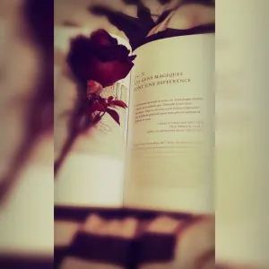 CYMERA_20161206_195042.jpg