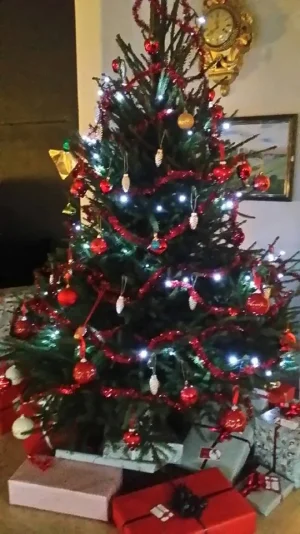 Joyeux Noël & Hag Hanukkah sameah.jpg