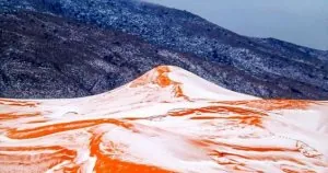 neige_au_sahara_3.jpg