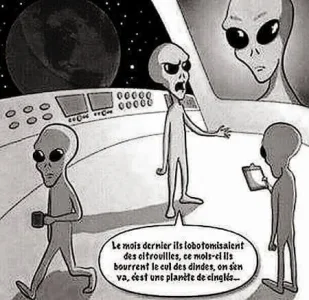 15697374_1048706371923865_7776175287962561751_n.jpg
