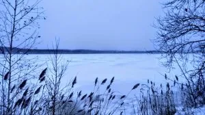 A granby au Quebec.jpg
