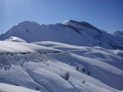 Texana Jijel.jpg