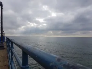 20170116_110834.jpg