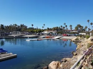 20170117_120204.jpg