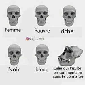 15741163_1693673977590452_6366275718786865575_n.jpg