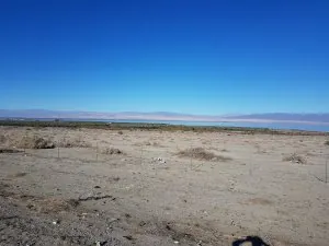 20170118_143835_003.jpg