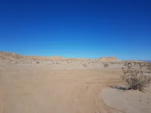 20170118_130908.jpg