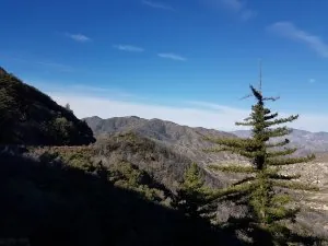 20170119_095839.jpg