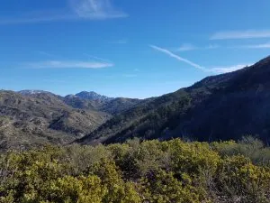 20170119_100441.jpg