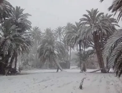 sahara-neige-5.png