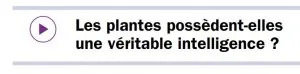 plantes.JPG