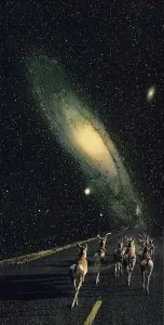 f2471f41e9efe8378f2e280896335920.jpg
