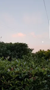 Screenshot_20170209-184724.png