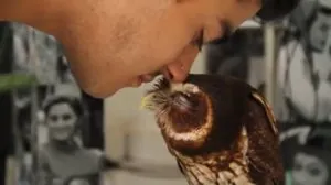 bisou-esquimau-hibou.jpg