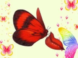 papillon.jpg