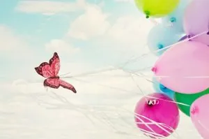 papillon-2.jpg