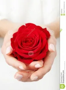 tenir-une-rose-rouge-30990548.jpg