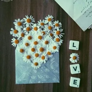 love111.jpg
