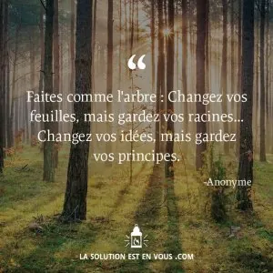 sagesse2.jpg