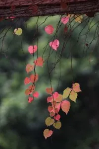 83ba8e792da6638ebff0f940c6938c6d.jpg