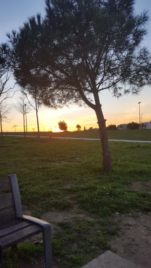 20170222_182706.jpg