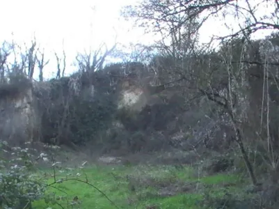 Février 2011 153.jpg