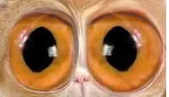 eek.JPG