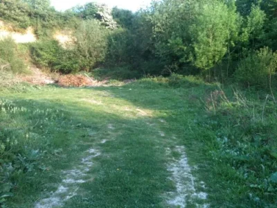 Photo 003.jpg