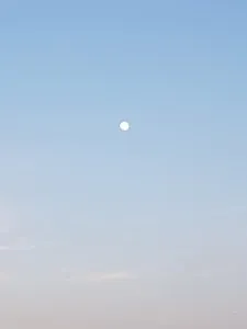 20170310_183450.jpg