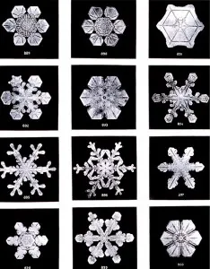 neige-flocons_WilsonBentley.jpg