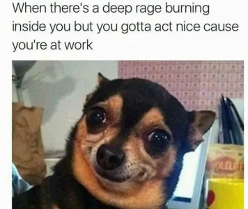 work nice.jpg