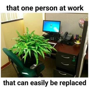 work replace.jpg