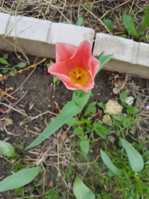 20170324_133021.jpg
