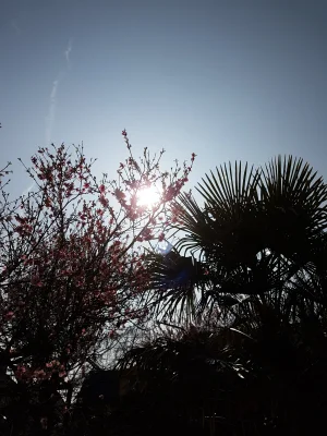 20170326_153244.jpg