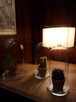 20170328_065616.jpg